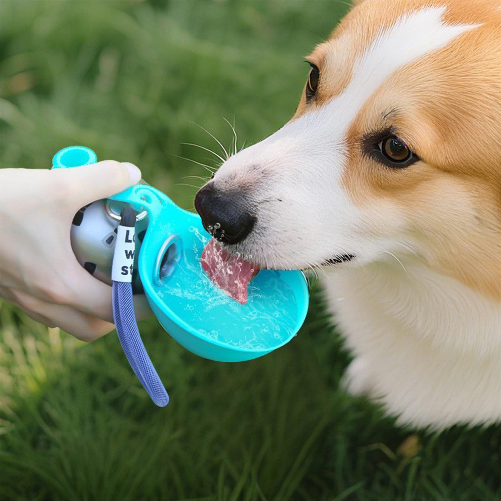 HydraPet | Botella Portatil Plegable para Mascotas